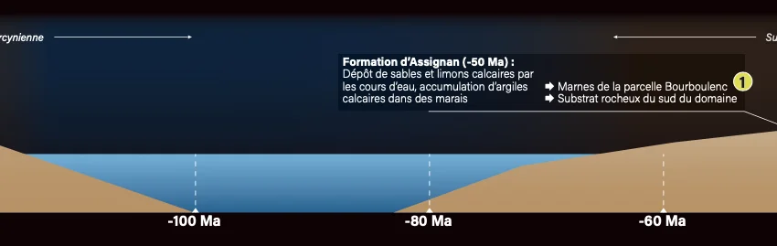 Canet Valette - AOP Saint Chinian - Coupe géologique du terroir